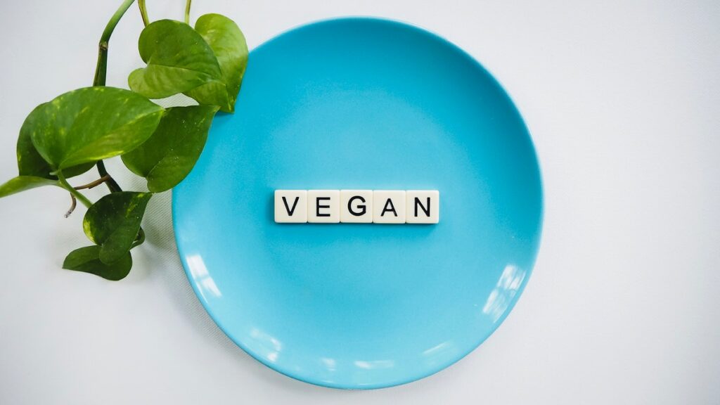 vegan definition